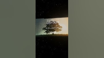 سورة الزمر|22|القارئ:#محمد_اللحيدان #قران #quran #راحة_نفسية #قران_كريم #تلاوة_هادئة#آية#تلاوة_خاشعة