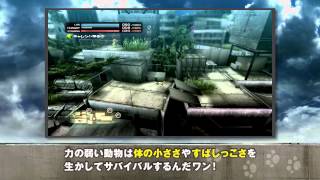 TOKYO JUNGLE　ポメラニアンに教わる『TOKYO JUNGLE』