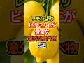 レモンよりビタミンCが豊富な意外な食べ物5選 #健康 #料理 #雑学 #豆知識 #予防医学 #shorts