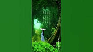 《痴情冢 Chīqíng zhǒng》一首古风的背景音乐，治愈心情。A Chinese style soundtrack for you #shorts #治愈音乐 #音乐 #music #纯音乐
