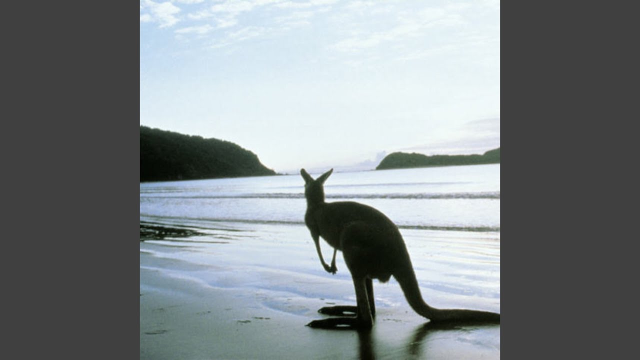 Watch Looking Back on YouTube Watch Looking Back on YouTube