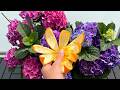 The Orange Peel Secret: Why My Hydrangeas Are Suddenly Exploding with Color
