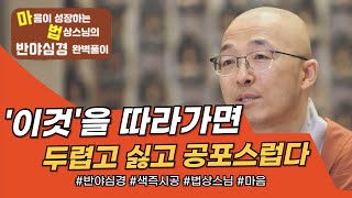 '이것'을 따라가면 두렵고 싫고 공포스럽다 힘든 우리 마음의 이유를 반야심경으로 파헤쳐보자! [법상스님의 반야심경과 마음공부] #법상스님 #반야심경 #마음공부