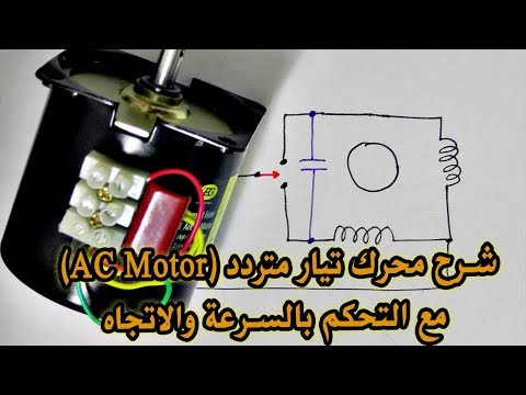 في المختبر :: 48- شرح محرك تيار متردد (AC Motor) مع التحكم بالسرعة والاتجاه