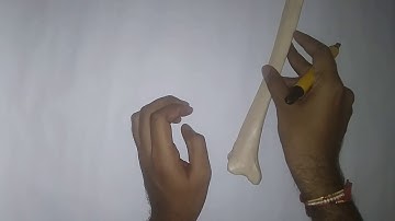 Tibia (Shin bone) Anatomy General features , side determination