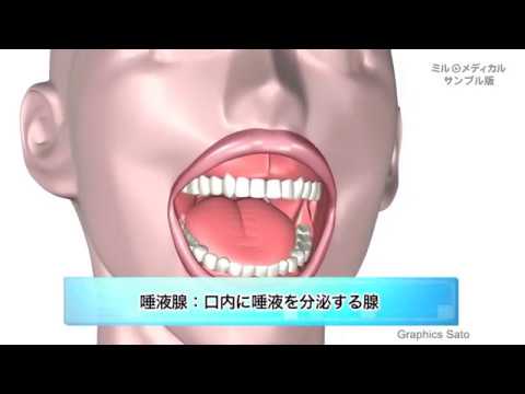 唾液腺炎、耳下腺炎／ミルメディカル 家庭の医学　動画版