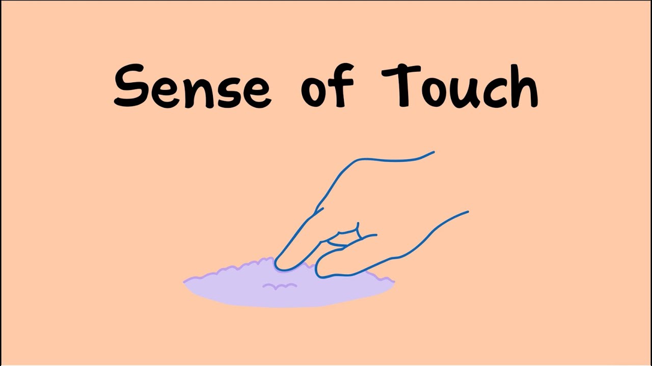 Sense of Touch 