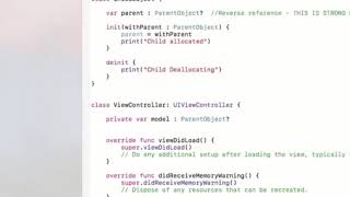 [1-01] Spotting Leaks With Xcode 8