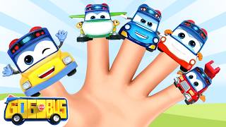 GoGoBus  Finger Family Song 🚌🖐️ 🎶 Children Songs