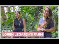 Farm raid with loren legarda gulay is life  karen davila ep7