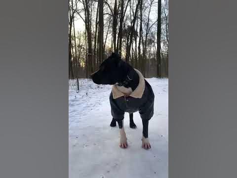Тинки - YouTube