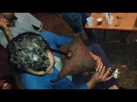 Extraordinaire Instrument Musicale ZORNA Fete Traditionnel Algerienne