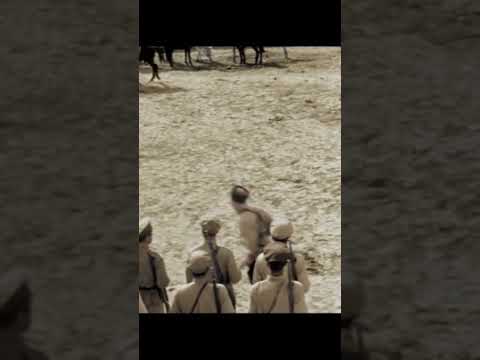 Важная птица? - Матерый бандит.../Офицеры #драма #фильм #русскоекино #кино #фильмы #ссср