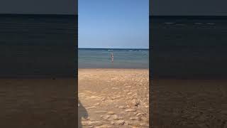 #shorts Beach Pollution in Egypt Makadi Bay