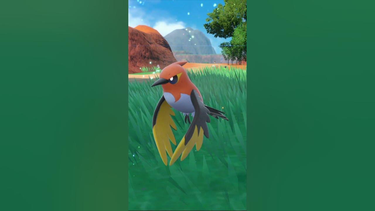 Fletchling evolves into Fletchinder Pokemon Scarlet/Violet shorts 