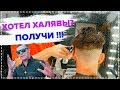 НЕ ПЛАЧУ / Не стал  платить за стрижку / Подстригся на халяву / Выгнали из барбершопа / Негодяй тв /