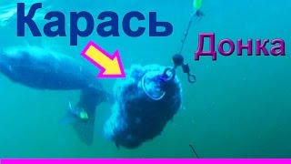 Ловил карася на донку. Подводная съемка, рыбалка онлайн. Ловля карася. fishing Ловил карася на донку. Подводная съемка, рыбалка онлайн. Ловля карася. fishing