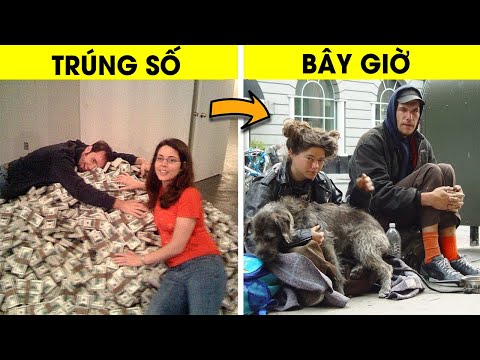 Video: 5 cách giúp những chú chó bị ảnh hưởng bởi cơn bão Harvey ngay cả khi bạn không sống ở Texas