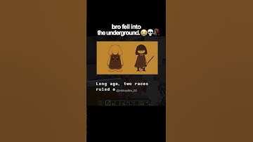 bro fell into the underground