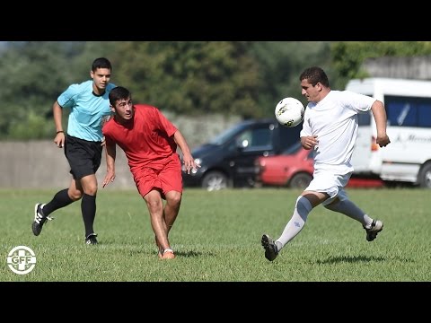 მოყვარულთა თასი დაიწყო