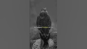 #motivation #motivationalvideo #shorts #success #nevergiveup #goals #selfimprovement #discipline