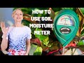 How to use soil moisture meter to avoid over  under watering  houseplant care tips