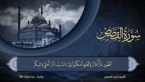 سورة   القصص  مكتوبة للشيخ أحمد النفيس / المصحف المرتل كاملا