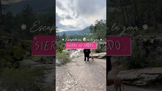 Sierra de Gredos con perro