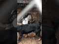 ‼️ РљР Р РґР СЏ РїРѕР РЅР СЏ РјРёСЃРѕС РєР РґР СЏ РЅРёС РјРЅРѕРіРѕРµ Р РЅР С РёС СЃР РјР СЏ РЅРµР РЅР С РёС РµР СЊРЅР СЏ СЃСѓРјРјР РёРјРµРµС Р РЅР С РµРЅРёРµрџђ рџ ЏрџЏјвЂ вЂјпёЏ ‼️ РљР Р РґР СЏ РїРѕР РЅР СЏ РјРёСЃРѕС РєР РґР СЏ РЅРёС РјРЅРѕРіРѕРµ Р РЅР С РёС СЃР РјР СЏ РЅРµР РЅР С РёС РµР СЊРЅР СЏ СЃСѓРјРјР РёРјРµРµС Р РЅР С РµРЅРёРµрџђ рџ ЏрџЏјвЂ вЂјпёЏ