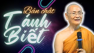 TÁNH BIẾT Pháp Nổi Trội Nhất, Nhờ Đâu mà Thấy Ra Tất Cả (Đáng suy ngẫm) | HT Viên Minh Thuyết Pháp