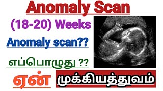 Anomaly Scan or Anatomy Scan in Tamil (18-22) Weeks|| Full Explanation|| Pregnancy Tips