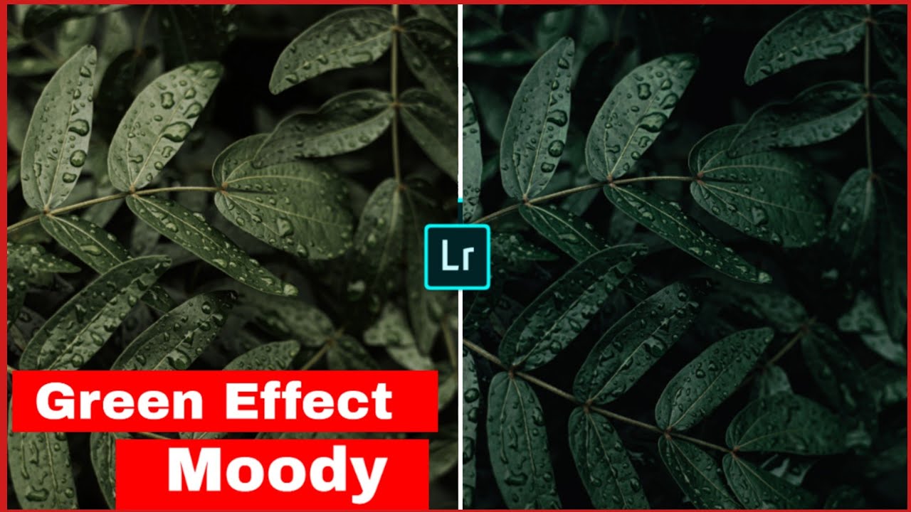 Lightroom Mobile Tutorial How to Create Moody Green Effect