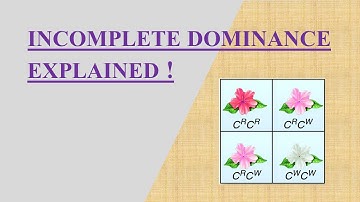 INCOMPLETE DOMINANCE EXPLAINED! || PRINCIPLES OF INHERITANCE AND VARIATION || BIOLOGY || STUD-E