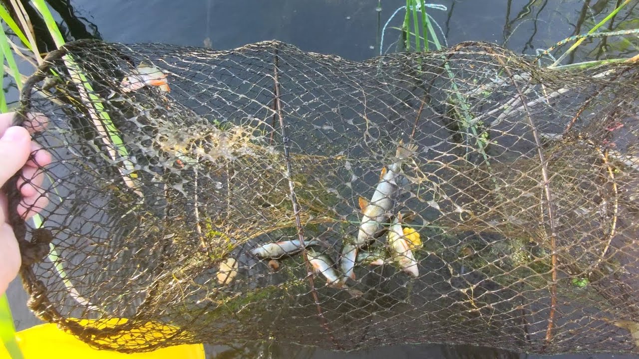 Супер снасть!!! Верша, ятерь, морда! Fishing 2023!!! - YouTube