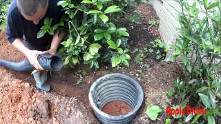 Adding Rain Chain and French Drain