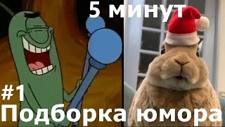 5 МИНУТ НАРЕЗКИ ЮМОРА 2019-ENDORFIN