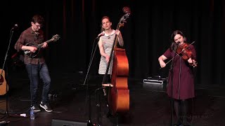Jaywalkers, The Mountain Chicken, Westports 11Th Folk Bluegrass Festival. 2017