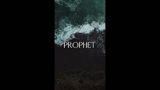 Hadith About Importance Of Knowledge The Divine Dose