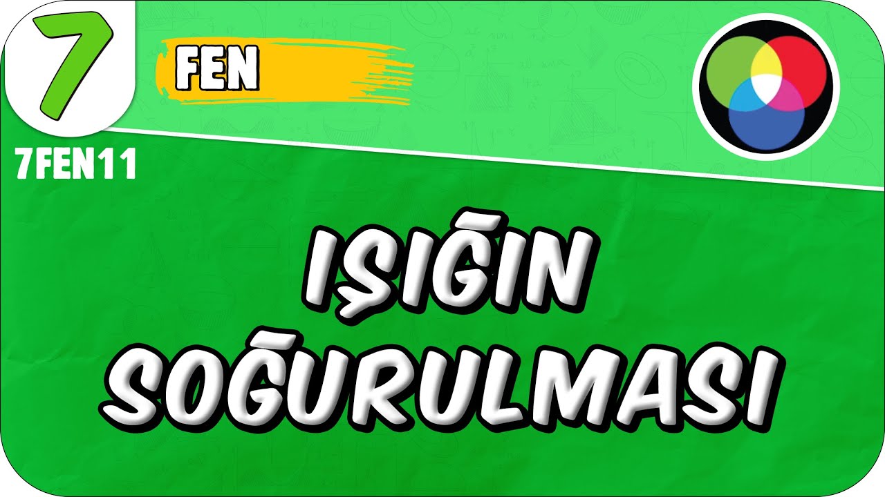 Işığın Soğurulması 📗 7. Sınıf Fen #2025