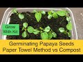 Paper Towel Method vs Compost | Papaya Seed Germination