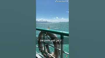 كتاب انزلناه إليك مبارك ليدبروا آياته #quran #تلاوة-خاشعة #islam