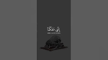 قرآن كريم الا يستحق اعجاب #quran #explore #قران