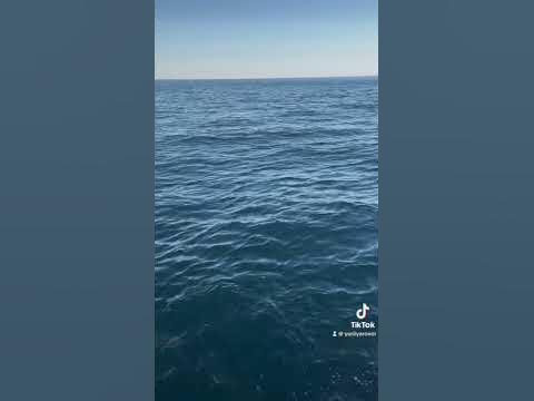 Ланжерон💋 - YouTube