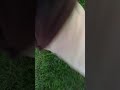 Hide and seek ep1