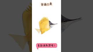 中文名稱/黃鑷口魚;拉丁學名/Forcipiger flavissimus #插圖 #drawing #手繪 #art #painting #ocean #animal #nature #cute