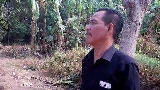 Ayah Ku Kirimkan Doa Cover Video Clip Musik