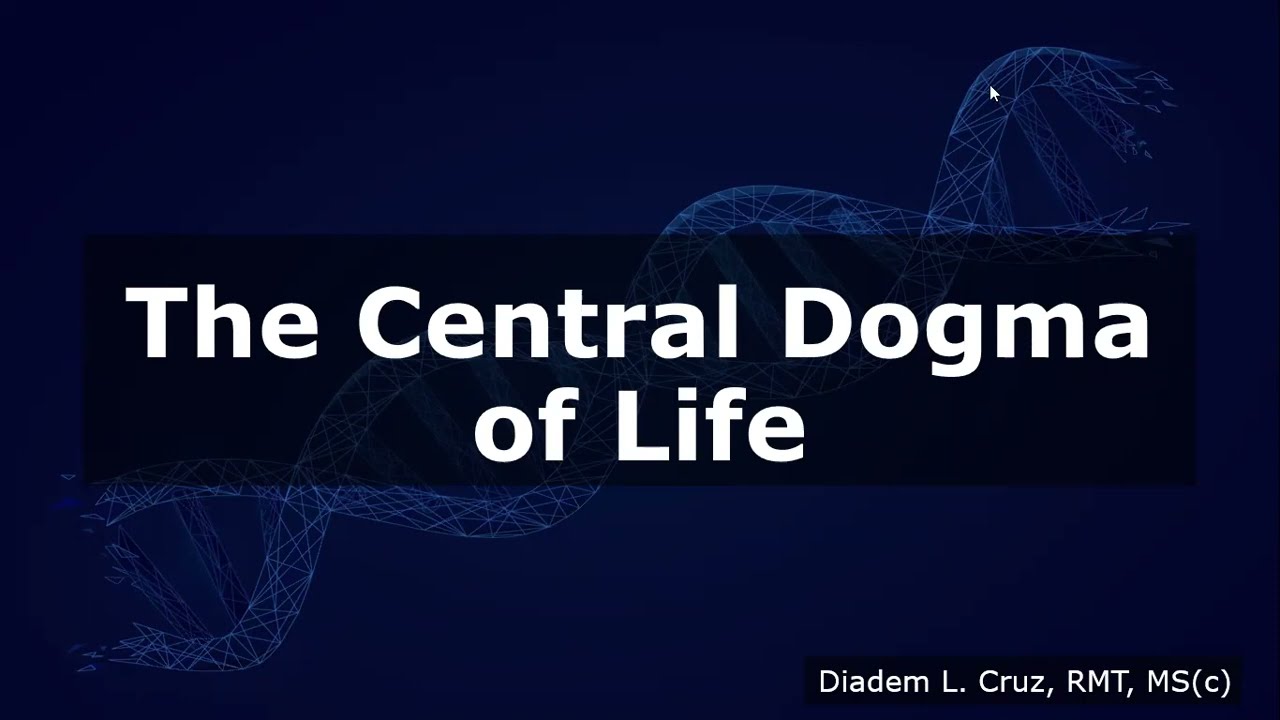 The Central Dogma Of Life Part 1 YouTube The Central Dogma Of Life Part 1 YouTube