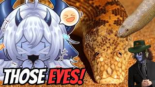 How Does THIS SNAKE Exist?! 🤣 | VTuber Reacts To MoreParz