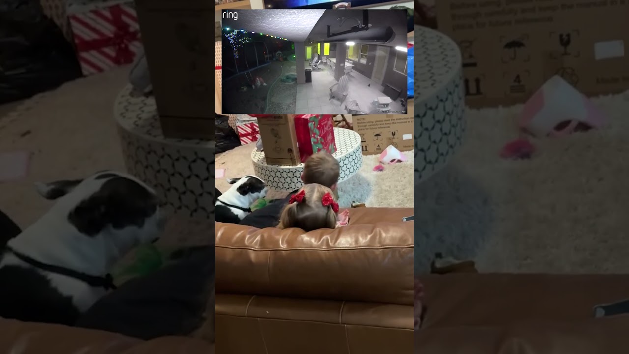 Our reactions when we saw Santa on the Ring camera! shorts 🎅📹😂