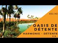 Oasis de dtente 432 hz 2h musique relaxante dambiance